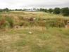 Maisy Battery - German defensive position - Normandy