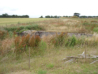 Maisy Battery - German defensive position - Normandy