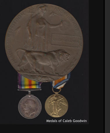 Medals of Caleb Goodwin