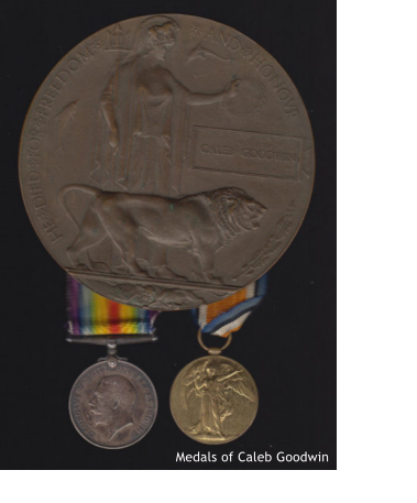 Medals of Caleb Goodwin